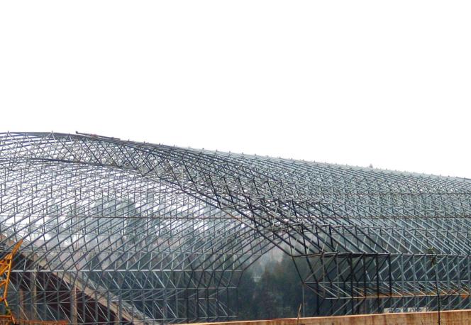 東駿水泥有限公司粉砂巖預均化堆場、原煤預均化堆場螺栓球節點拱形頂大型網架